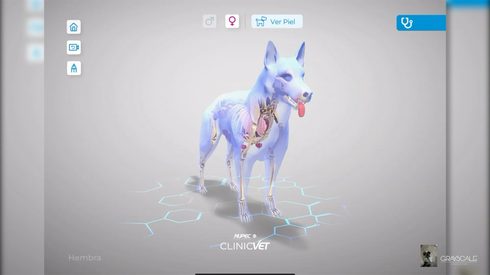 ClinicVET interface showing an interactive canine anatomy visualization